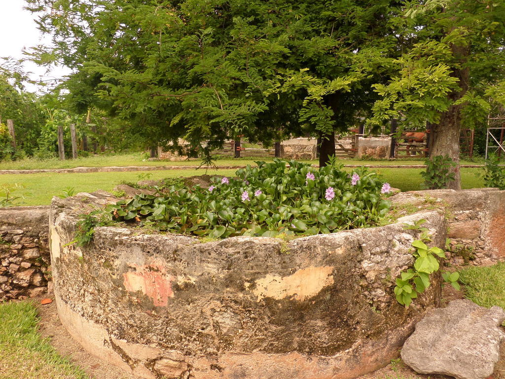 Hacienda Tepich Casa Vargas Merida Exterior photo